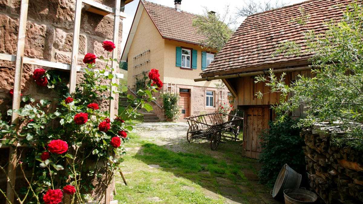 Bauhistorischen Führungen auf dem historischen Morlokhof