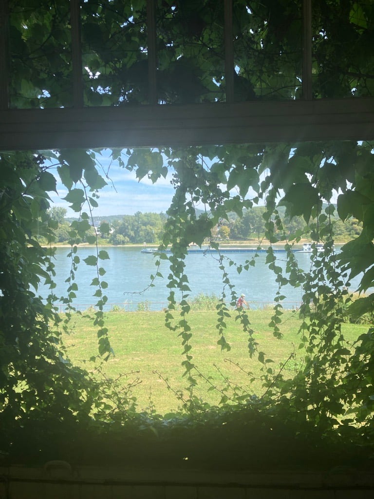 Durch den wuchernden Wein ist der Rhein noch etwas zu sehen - man kann erahnen welchen Ausblick die Gäste früher hatten. Durch den wuchernden Wein ist der Rhein noch etwas zu sehen - man kann erahnen welchen Ausblick die Gäste früher hatten.