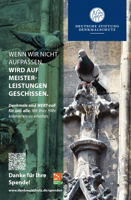 Freianzeige DSD wert-voll Meisterleistungen hochkant Freianzeige DSD wert-voll Meisterleistungen hochkant