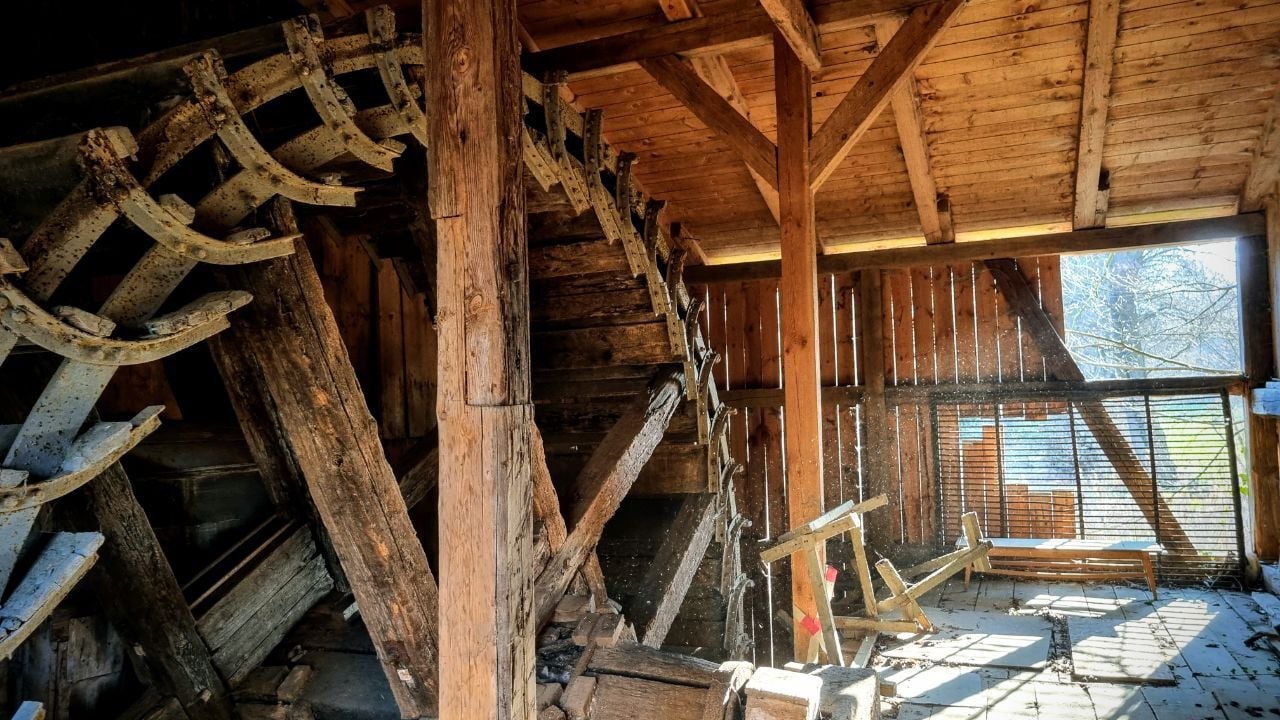 Fotoquelle: Bodenberger