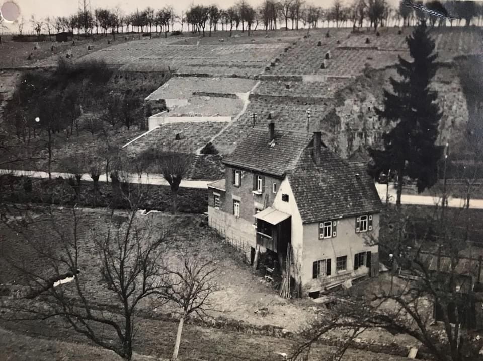 Fotoquelle: Silke Seybold