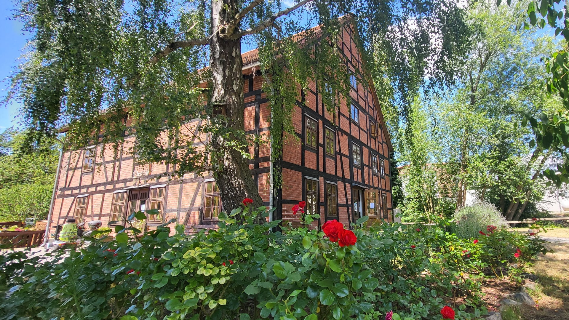 Fotoquelle: Iris Seidel