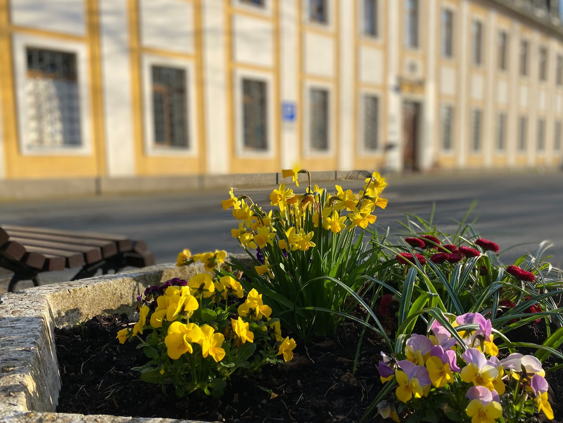 Fotoquelle: David Gebauer