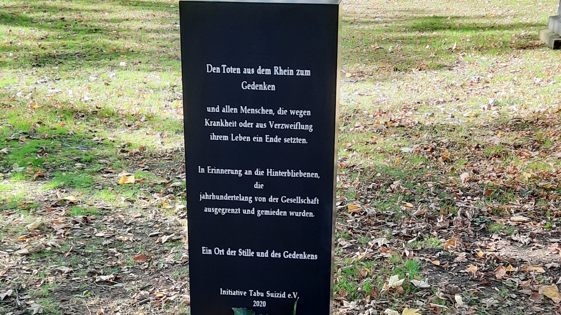 Fotoquelle: Renate Reichmann-Schmidt