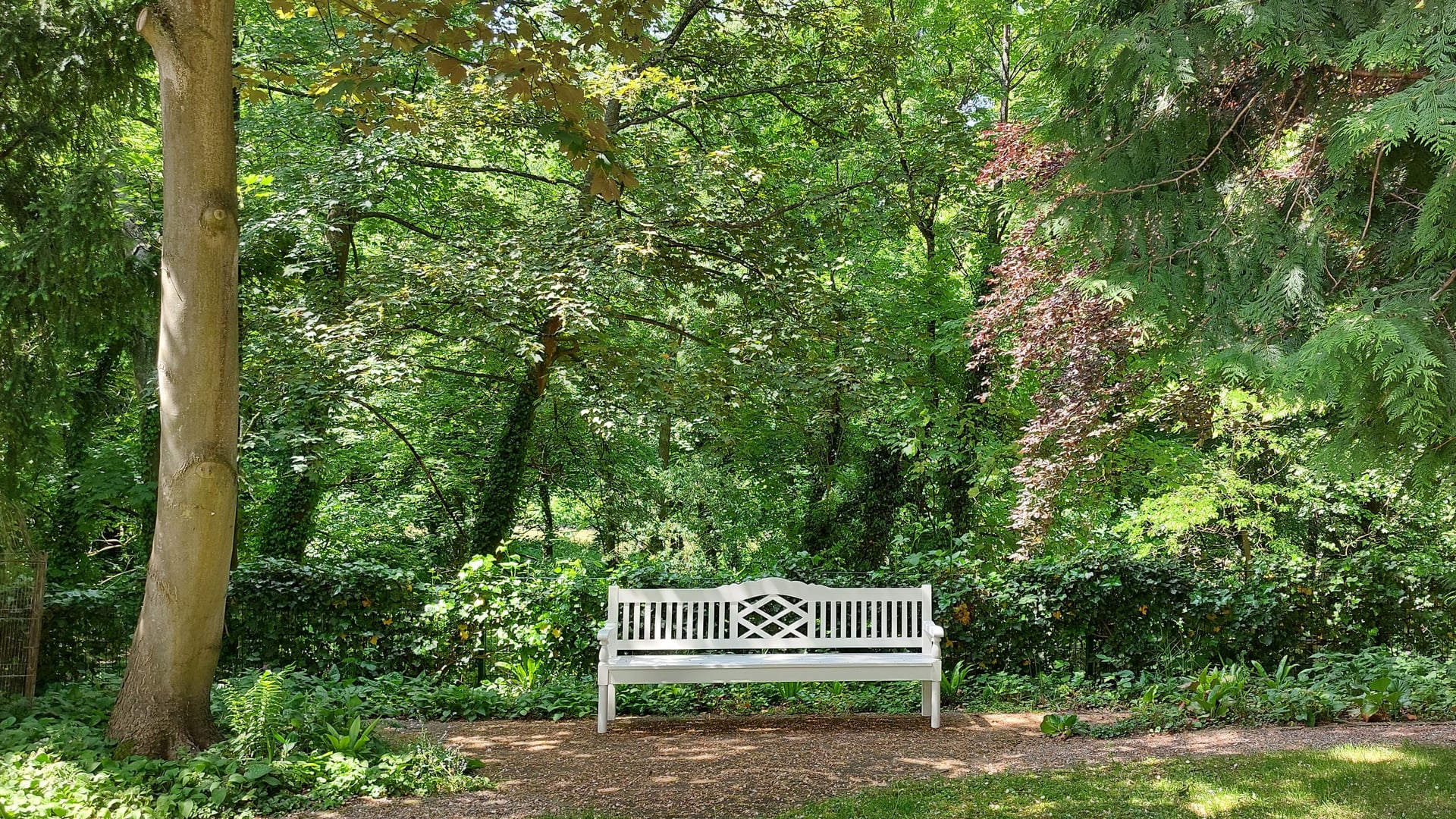 Fotoquelle: Freunde des Bürgermeisterhauses e.V.