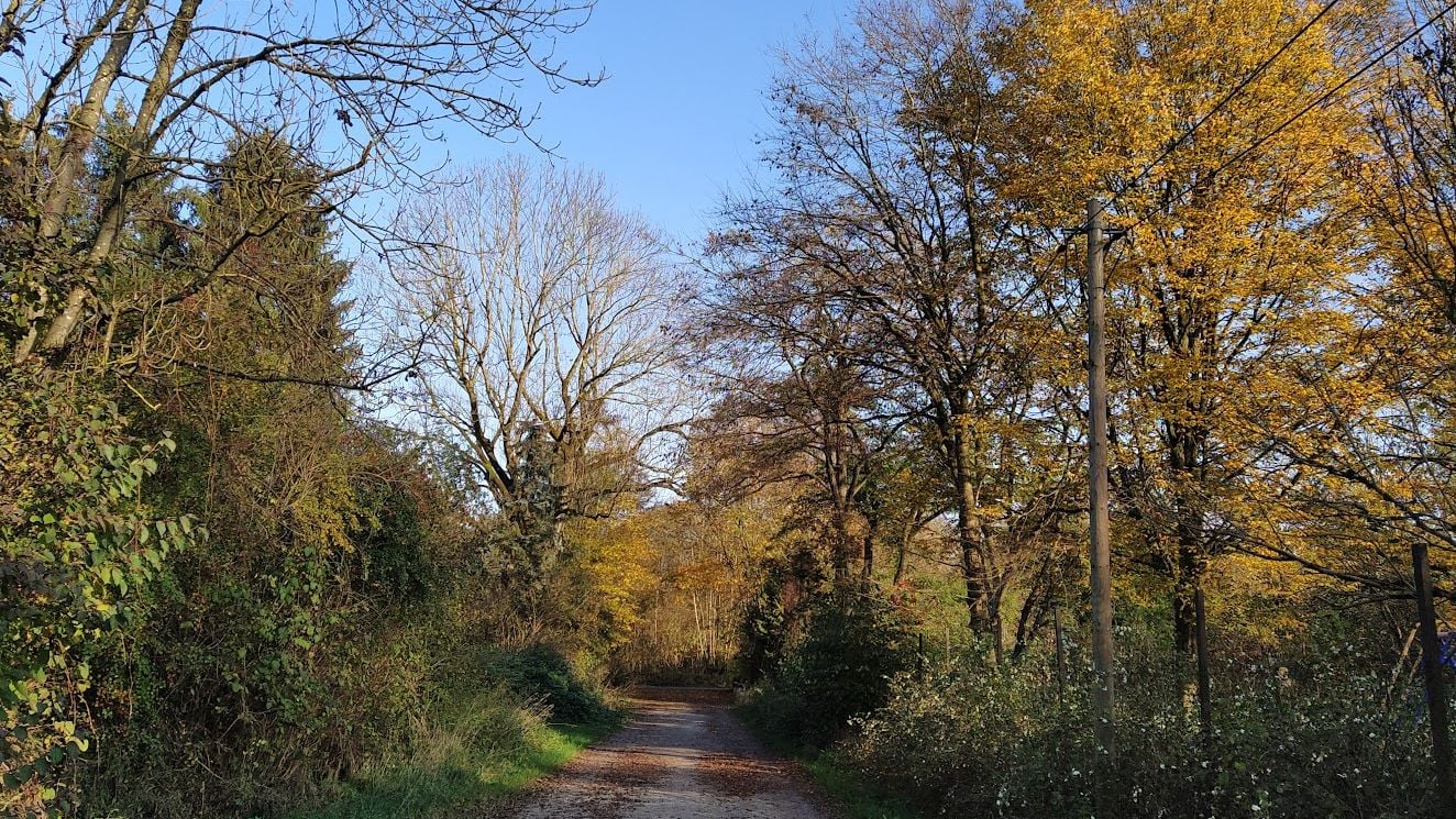 Fotoquelle: Irene Gronegger