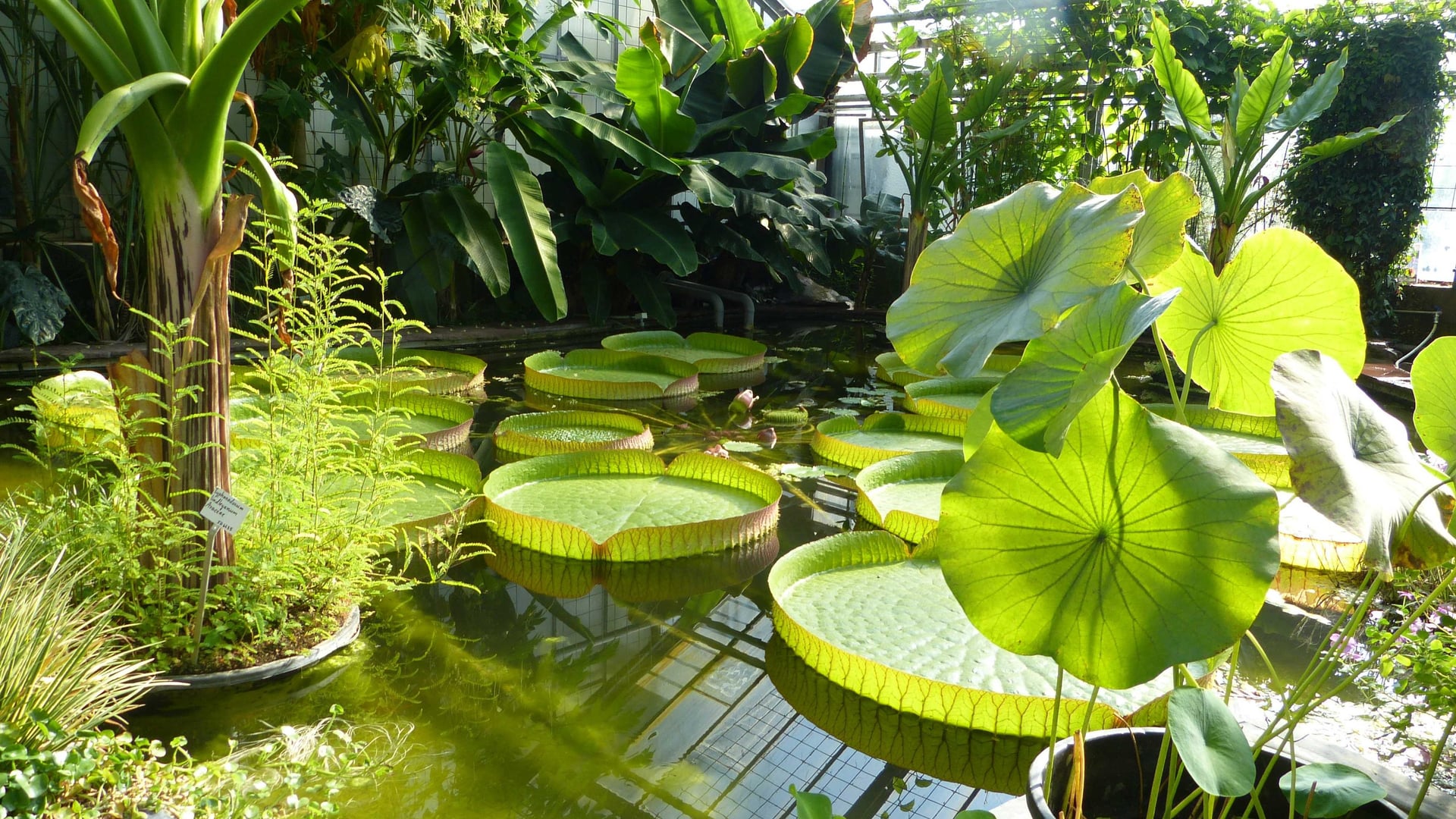 Fotoquelle: Beatrice Franz