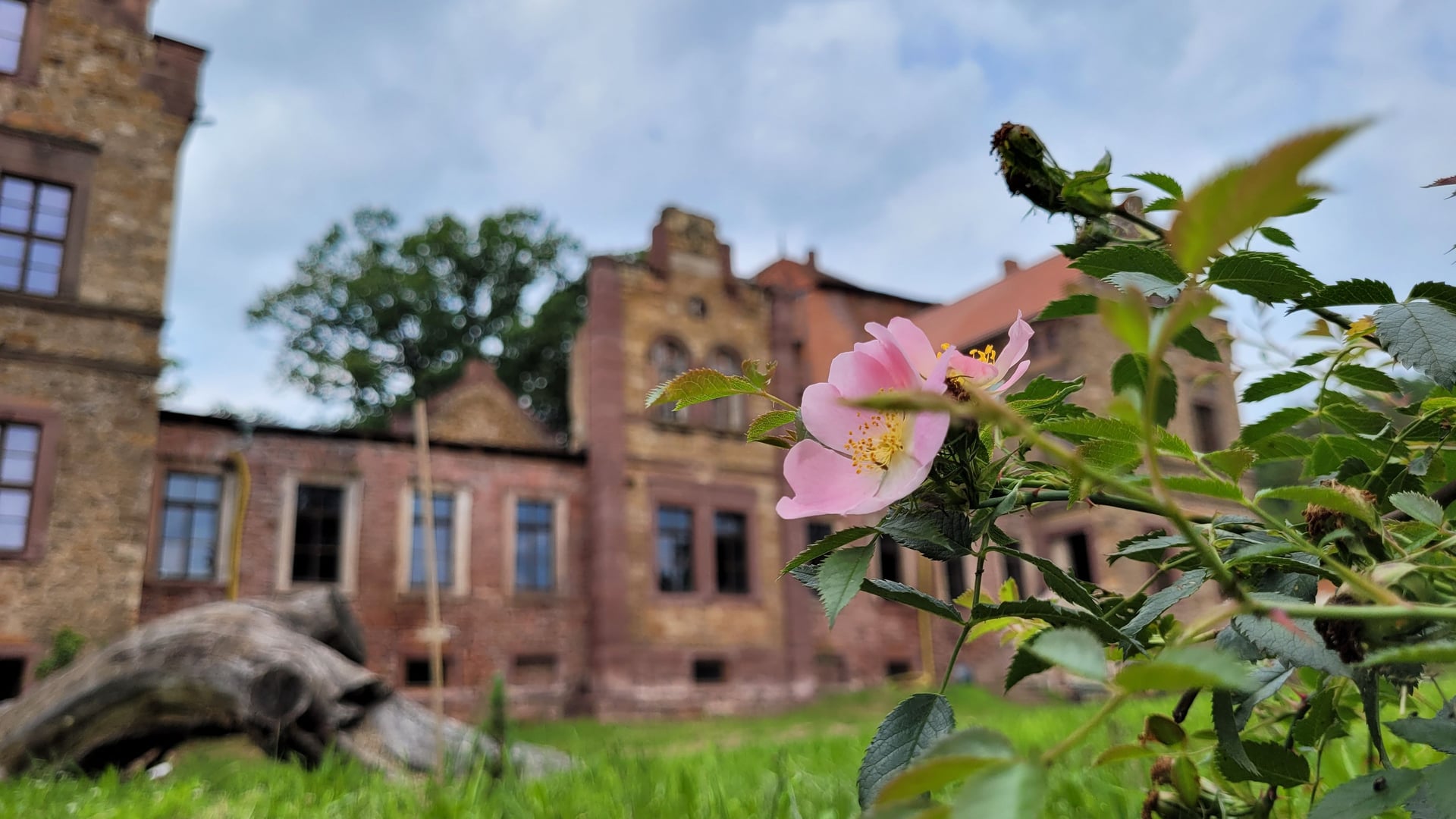 Fotoquelle: Jakob Jangel