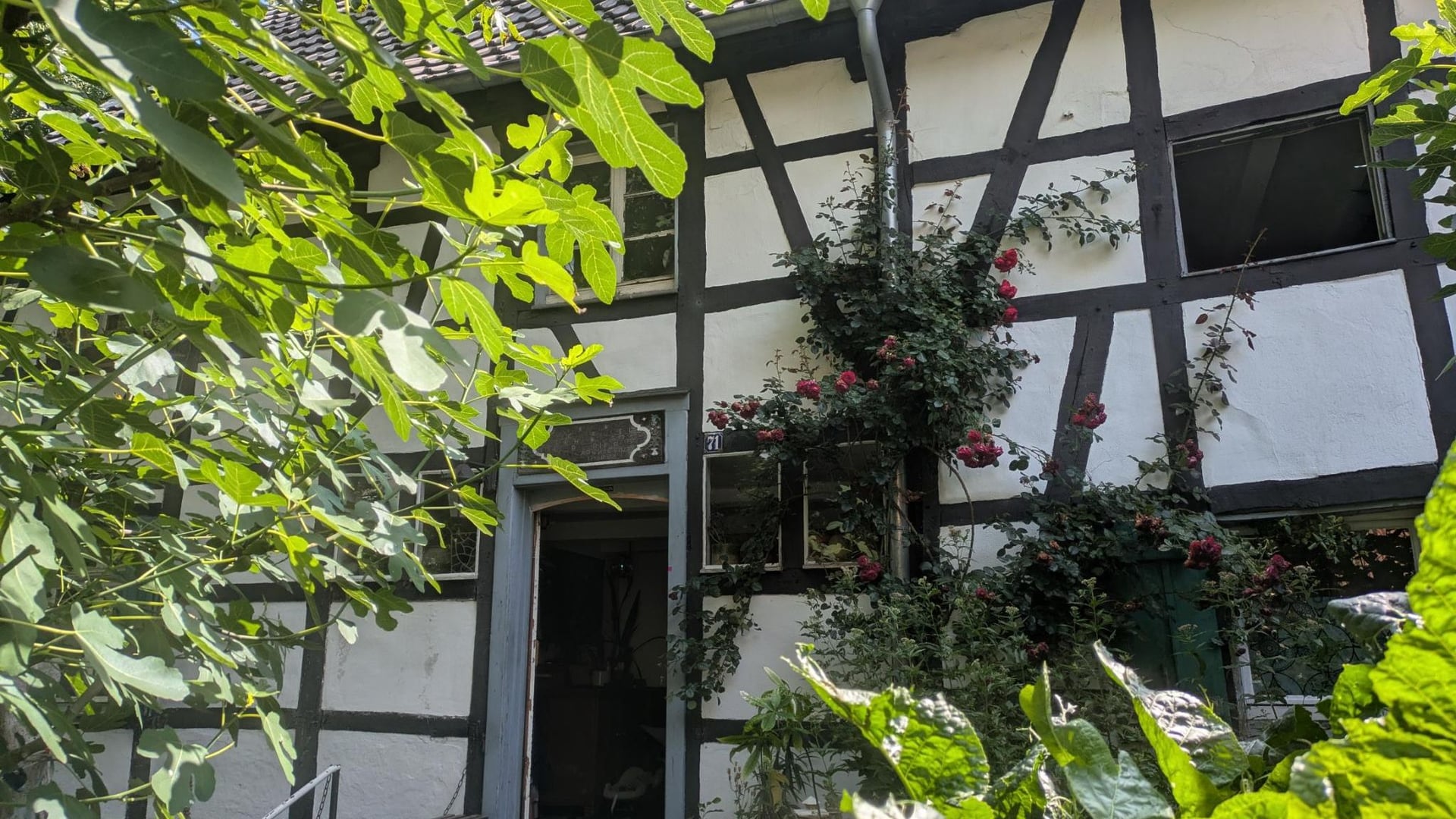 Fotoquelle: Miriam Liese