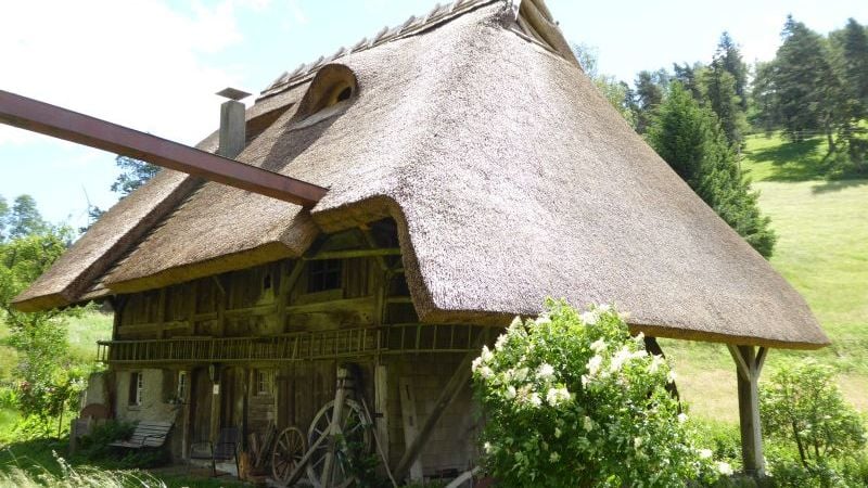 Fotoquelle: Maria Gutjahr