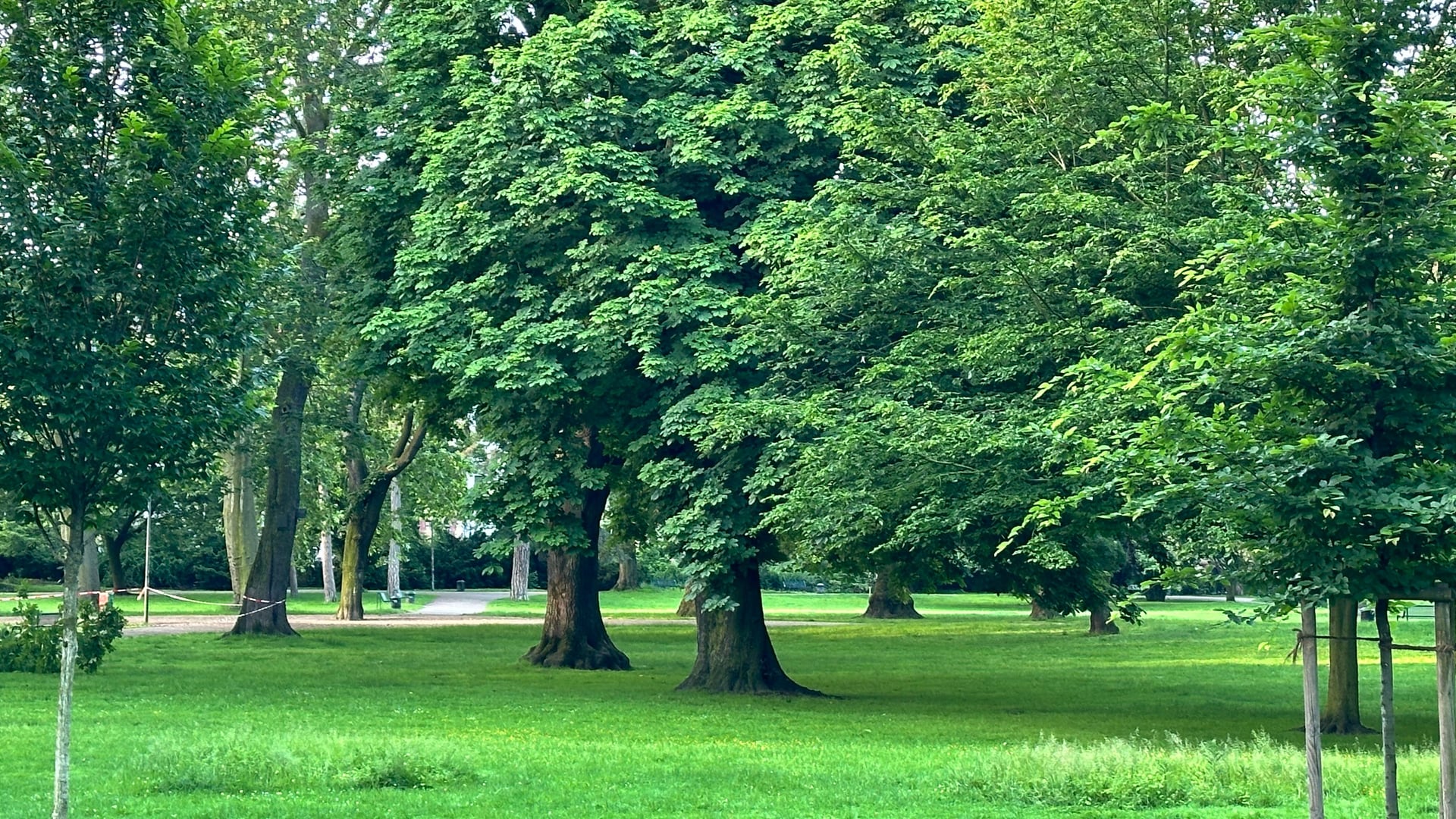 Fotoquelle: Iris Pinkepank