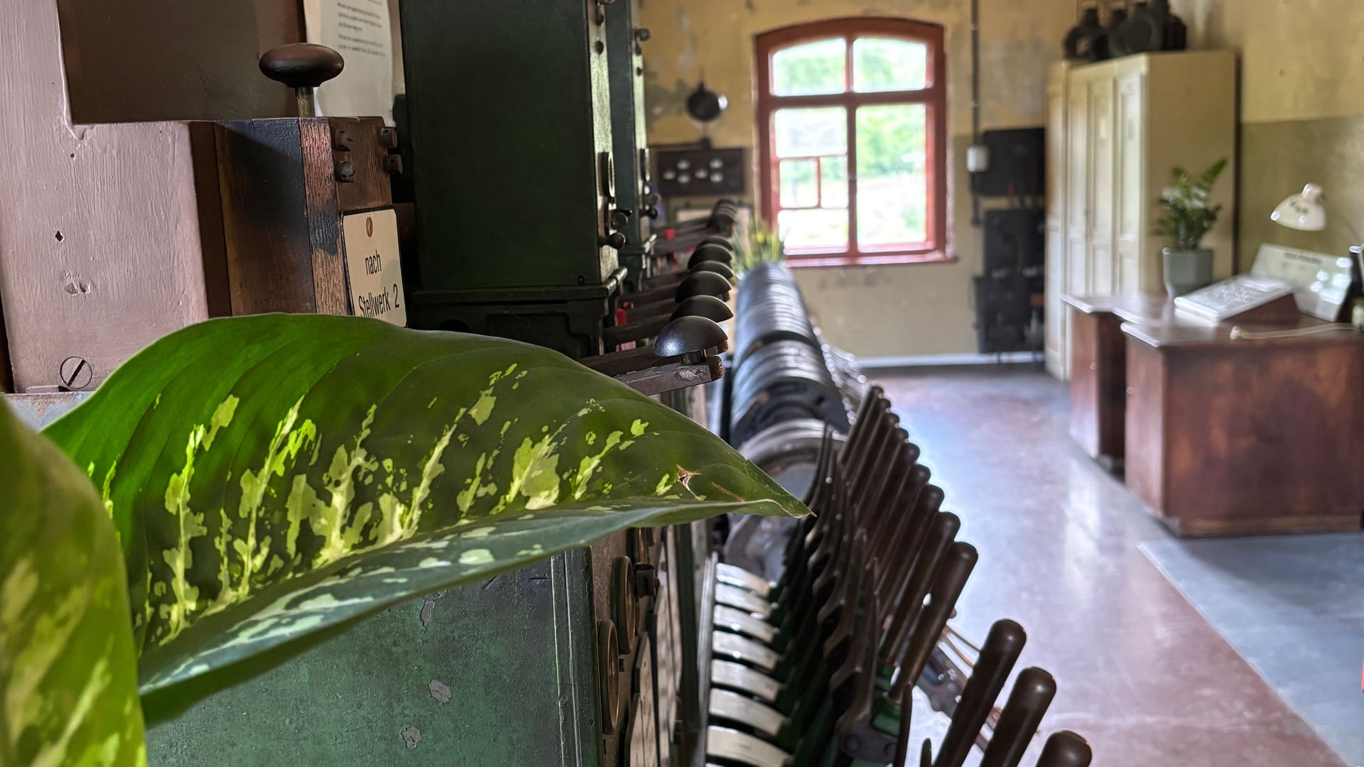 Fotoquelle: R. Bernhardt