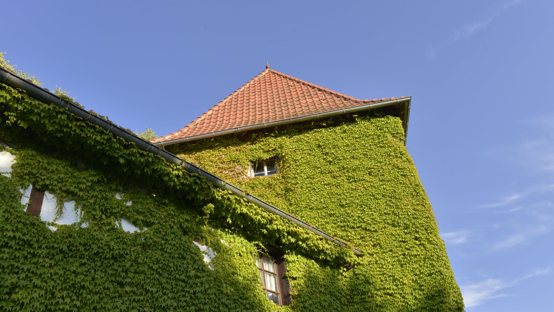 Fotoquelle: Mathias Haupt