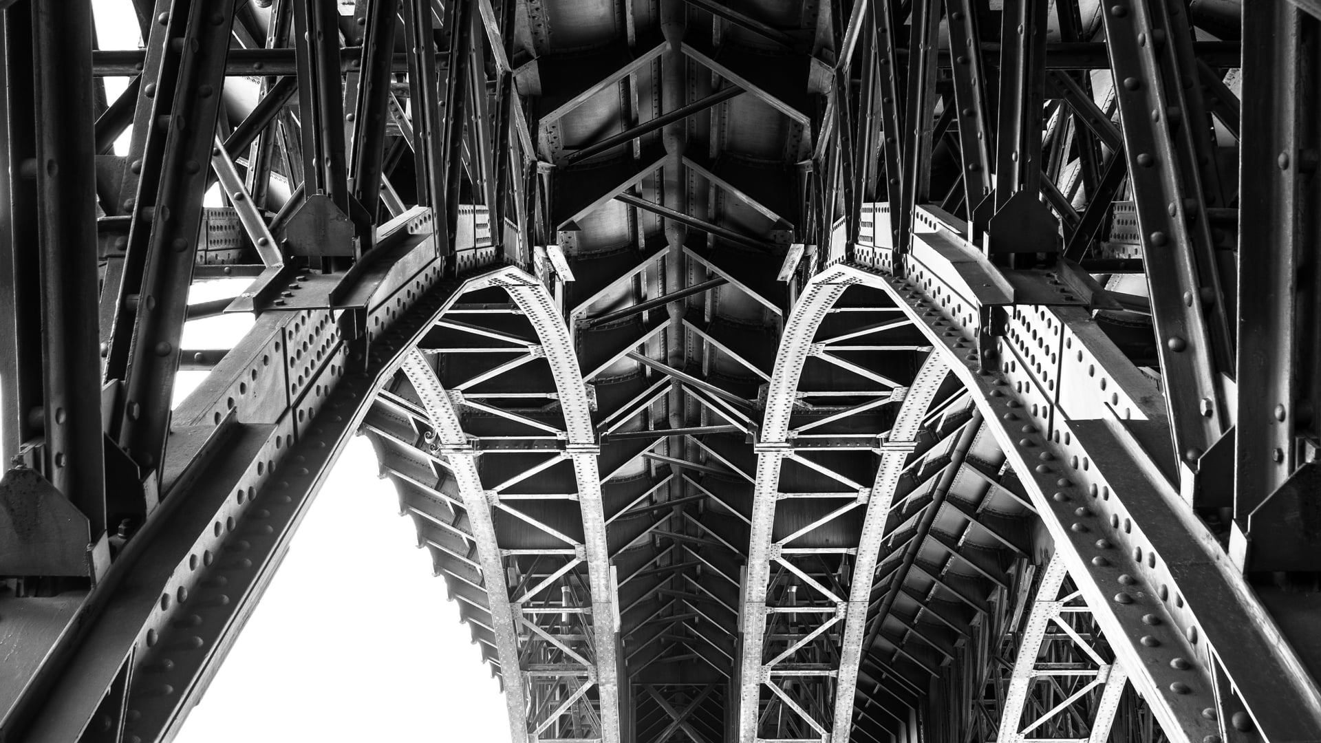 Fotoquelle: J. Rödel