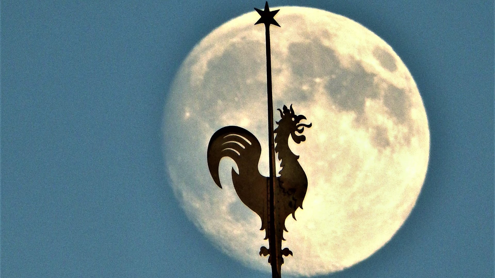 Fotoquelle: Wilfried Brauer