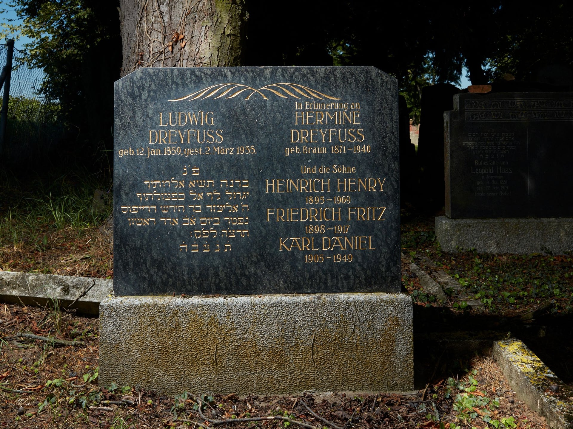 Fotoquelle: Michael Weis