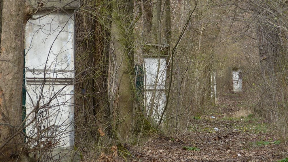 Fotoquelle: Mathias Brandstätter