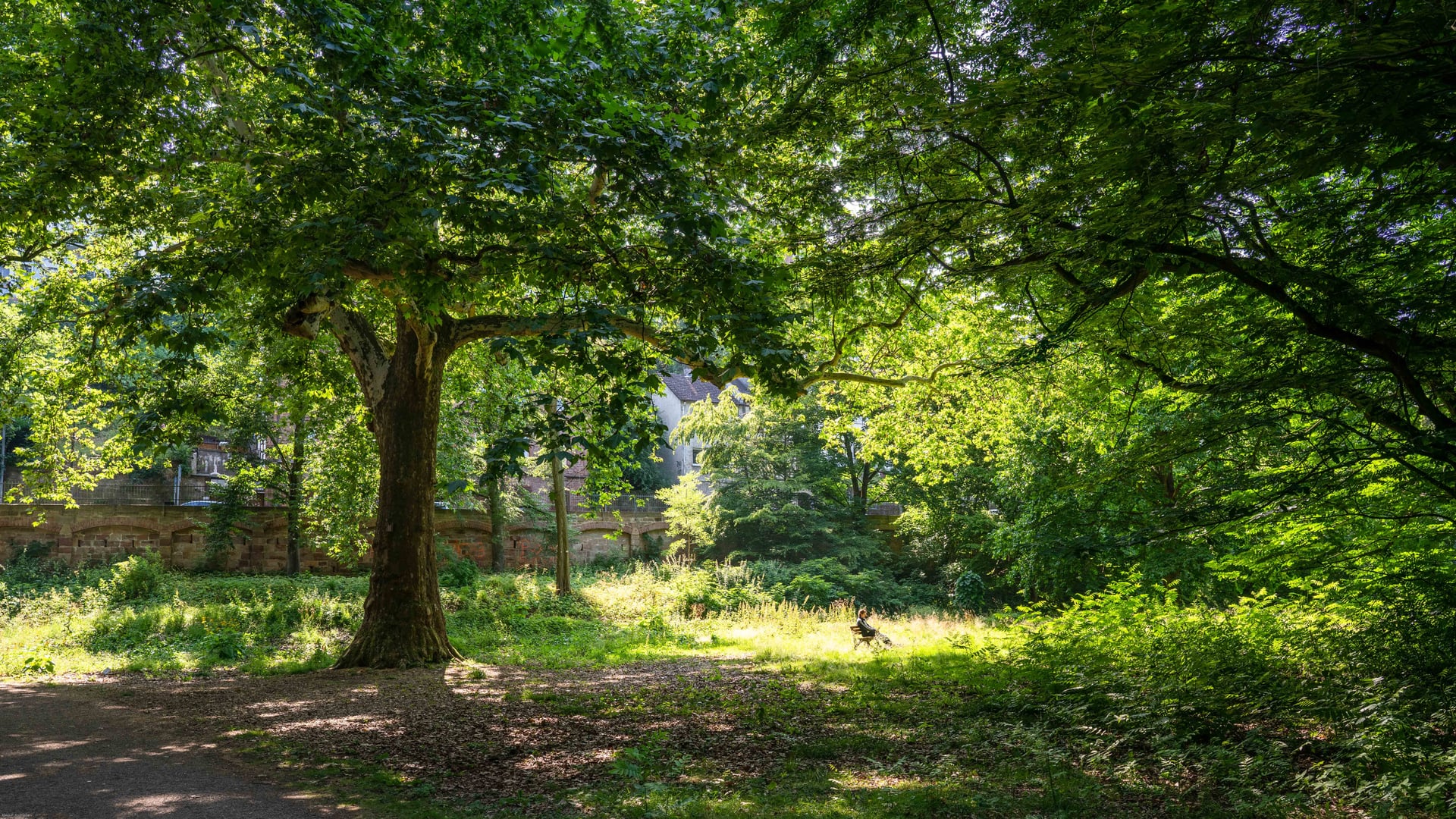 Fotoquelle: Klaus Peter Andrießen