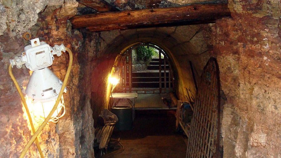 Fotoquelle: Dr. Silvio Stute