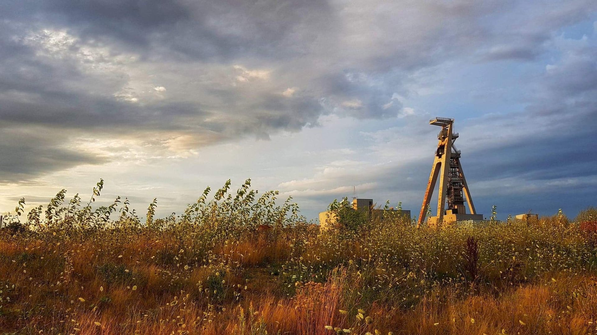 Fotoquelle: Bergbaumuseum