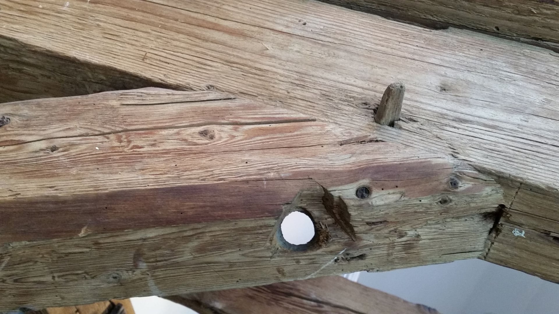 Fotoquelle: Ingeborg Plachetta