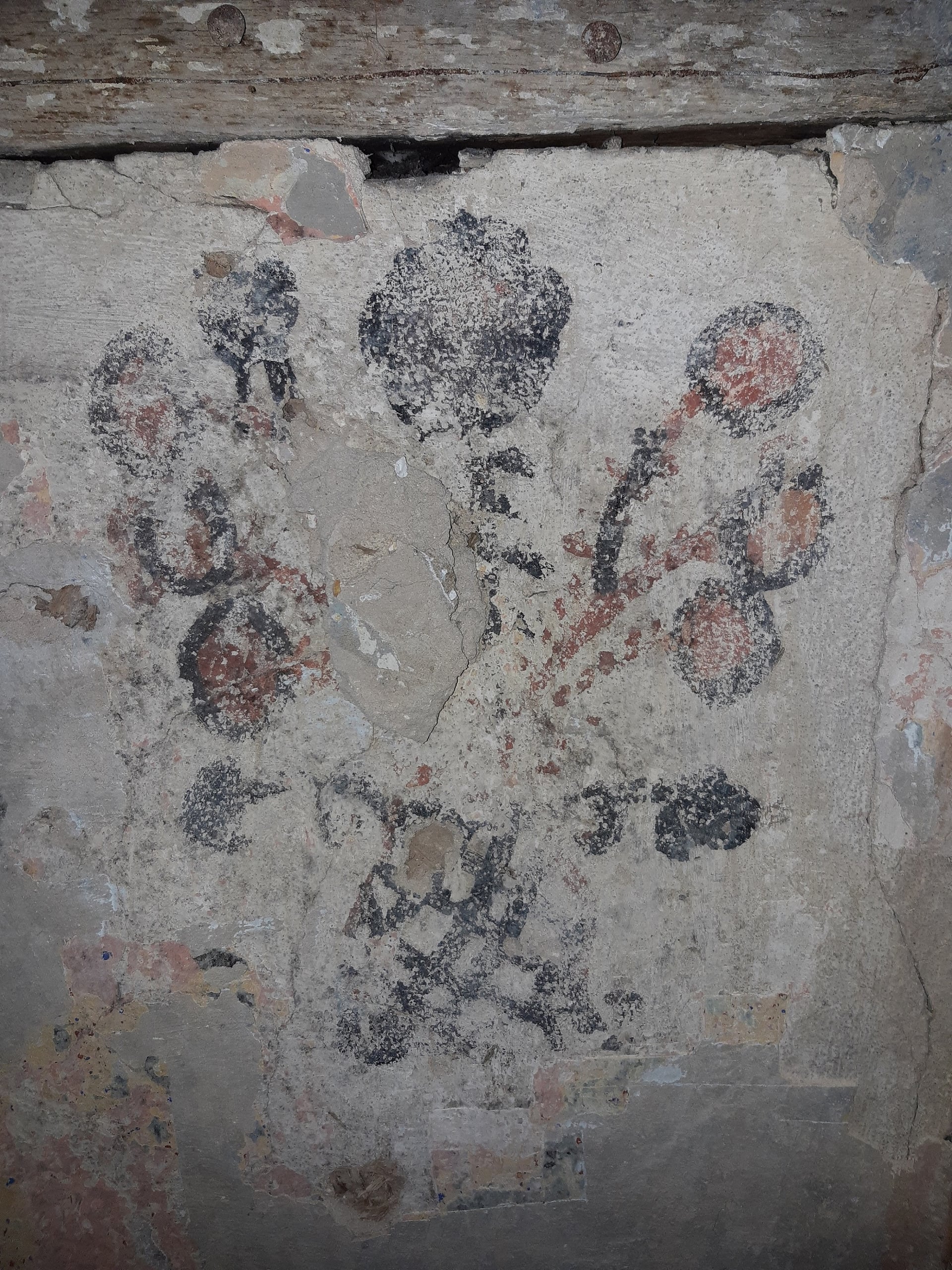 Fotoquelle: Timo König