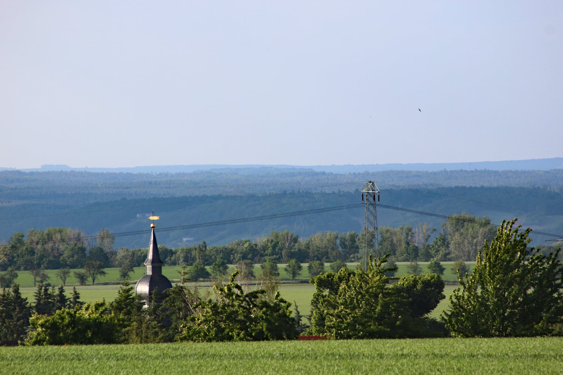 Fotoquelle: Matthias Schlönvogt
