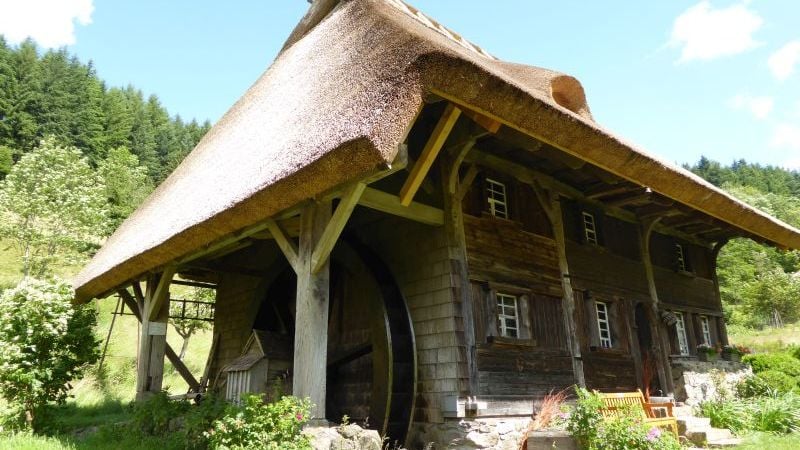 Fotoquelle: Maria Gutjahr