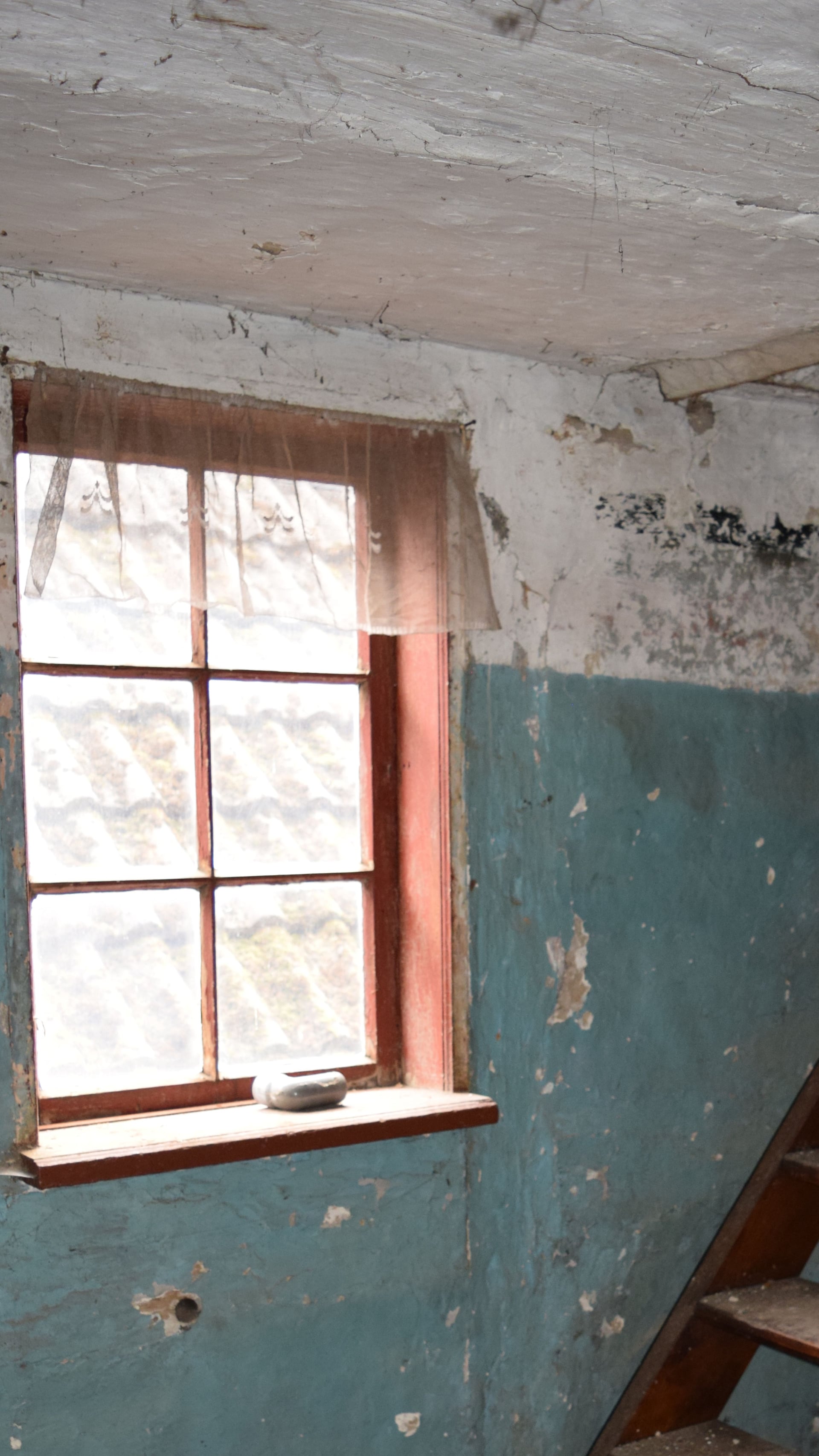 Fotoquelle: Clemens Pawelsky