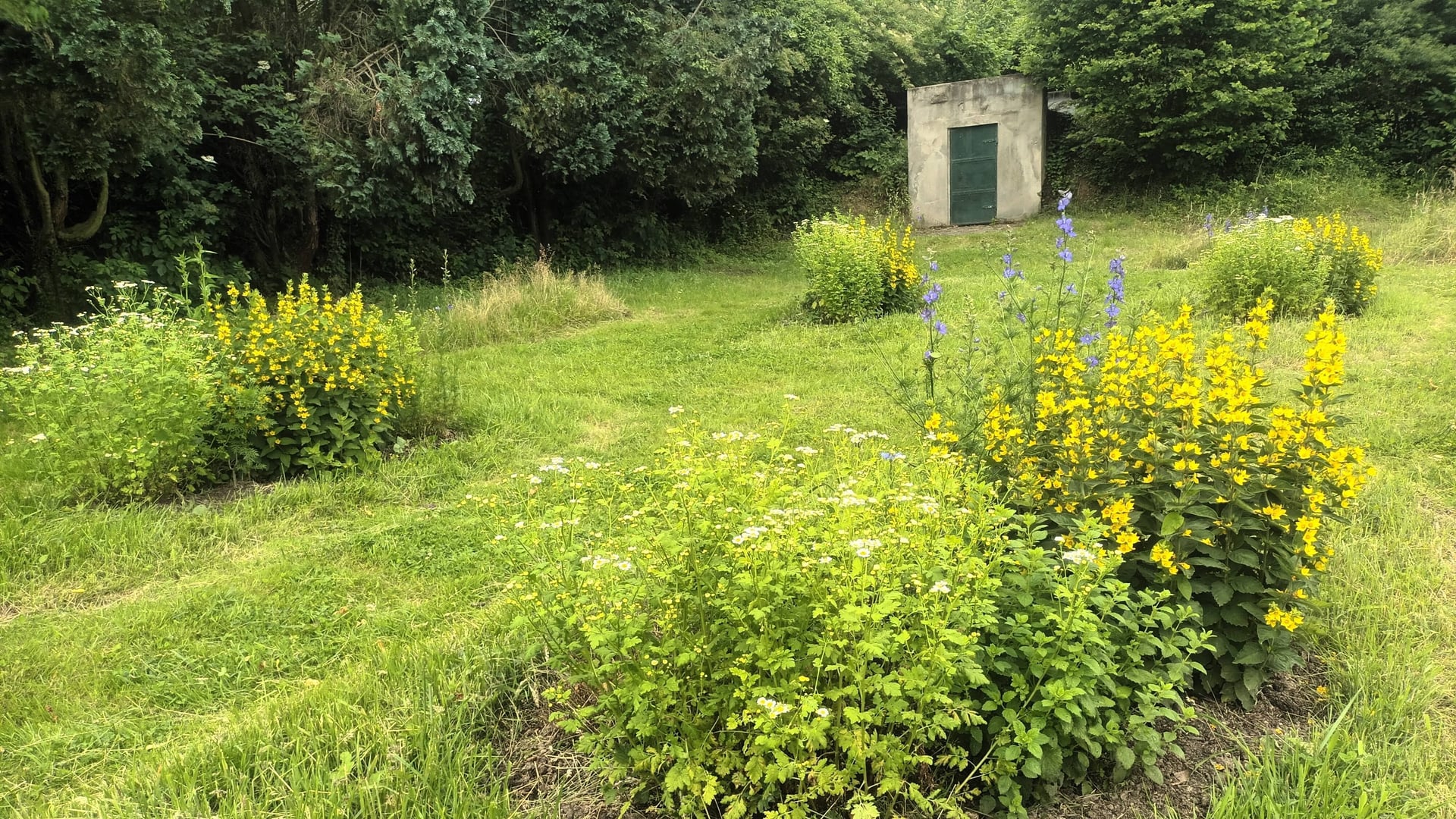 Fotoquelle: Volker Helwich