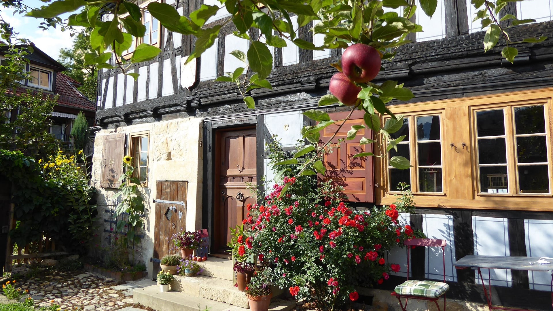 Fotoquelle: jörg brauer