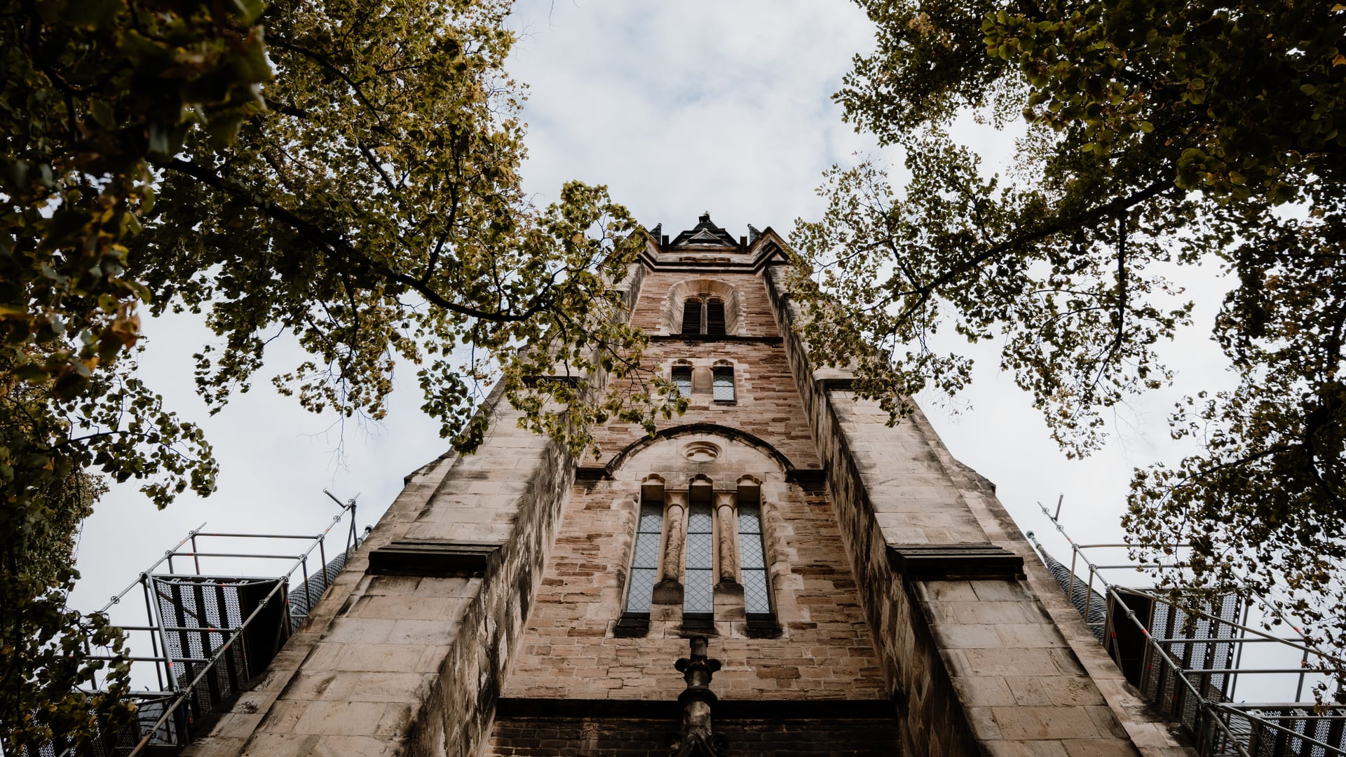 Fotoquelle: WTG_Polyluchs