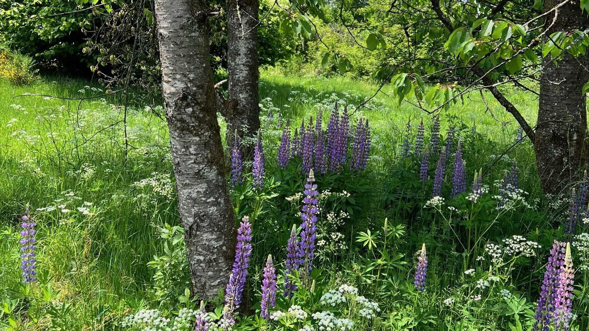 Fotoquelle: Sebastian Luke