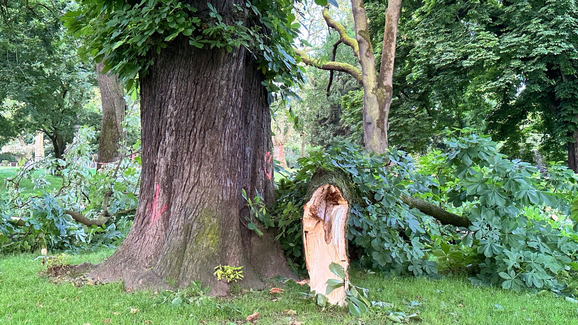 Fotoquelle: Iris Pinkepank