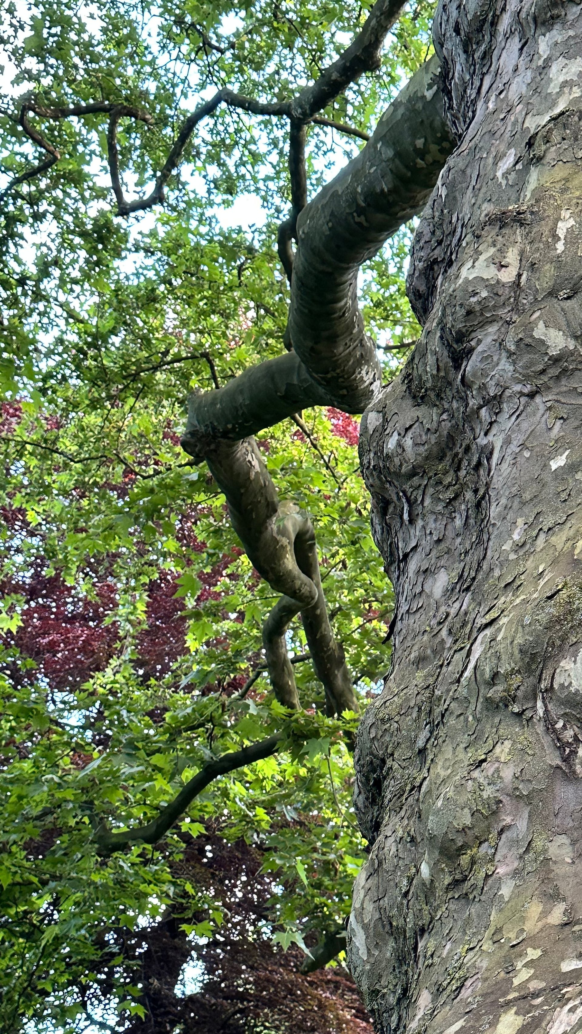 Fotoquelle: Iris Pinkepank