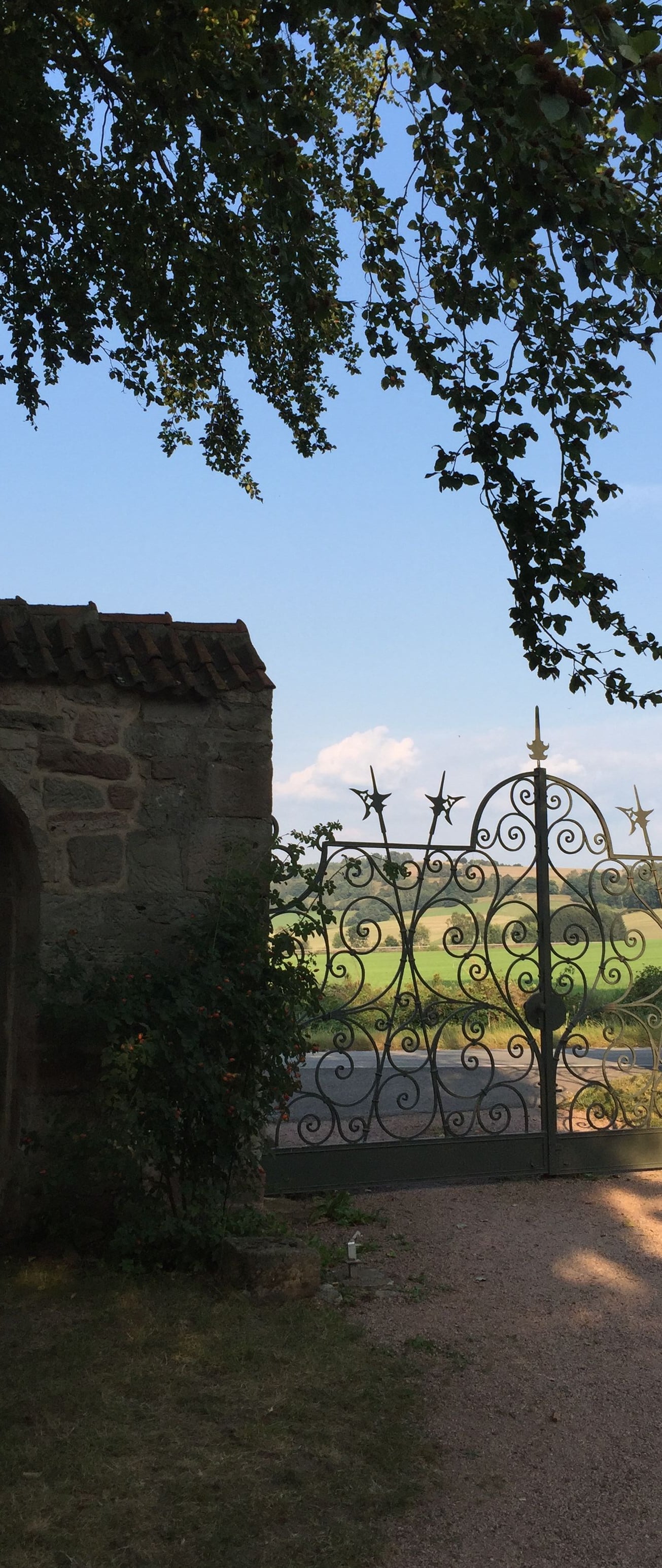 Fotoquelle: Josefine Halbig