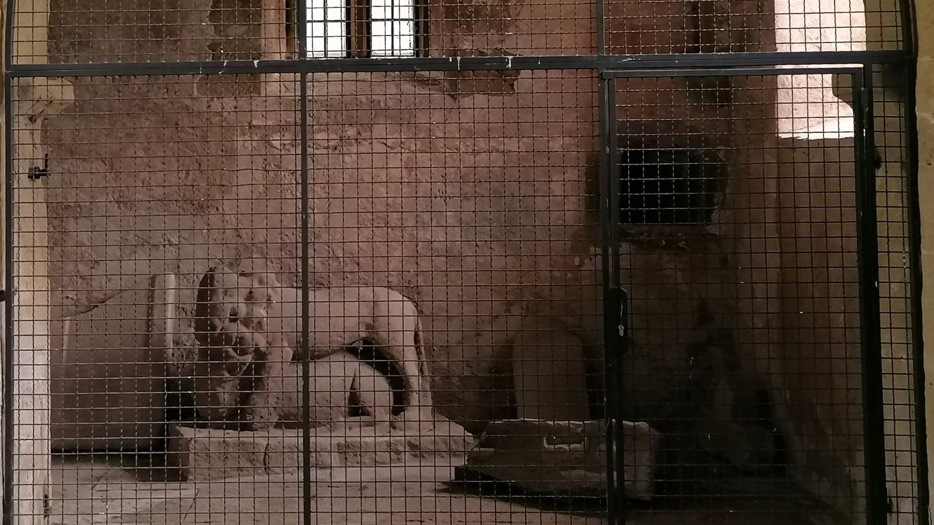 Fotoquelle: Emrich, Ralf