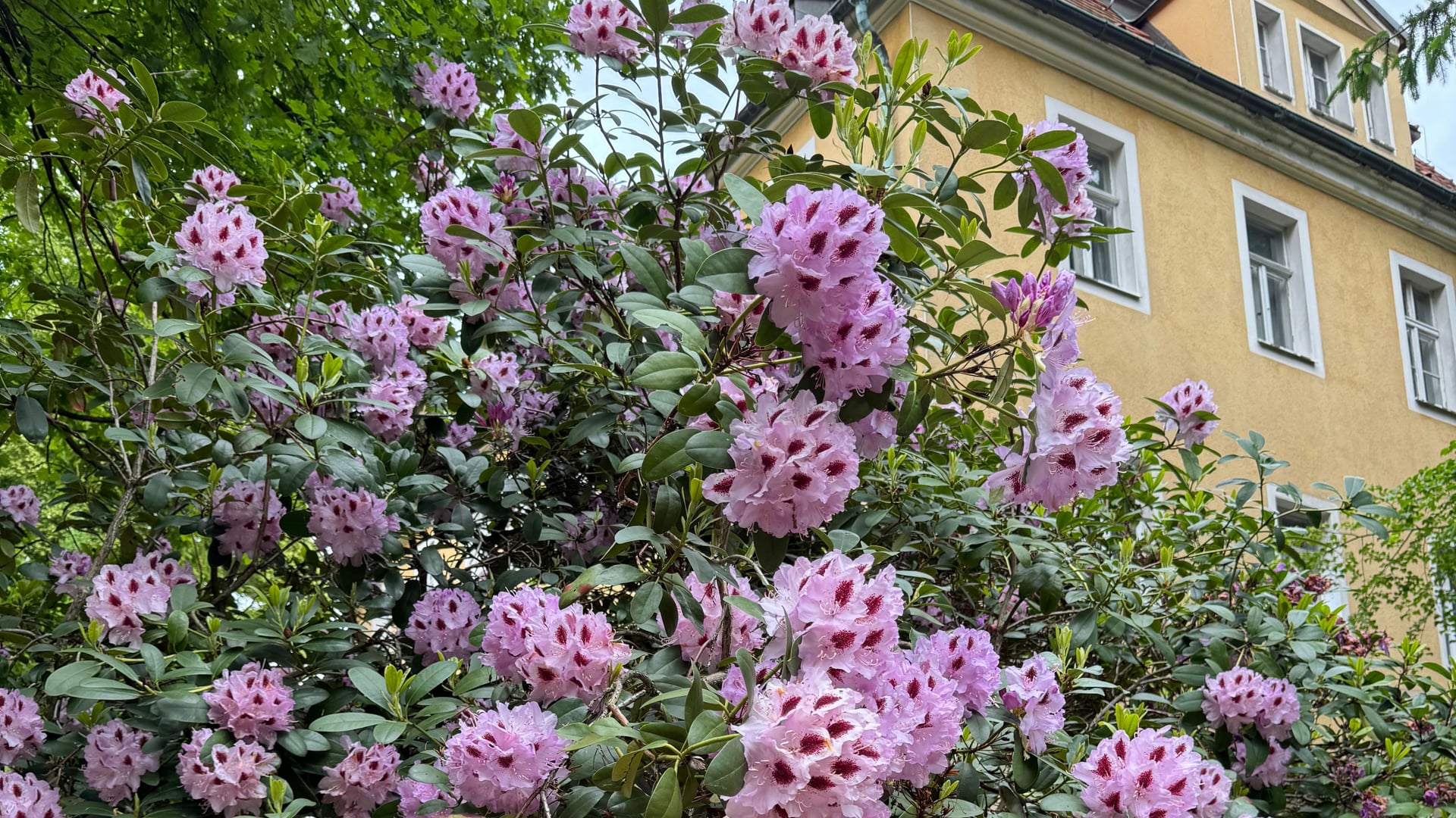 Fotoquelle: Olaf Kramer