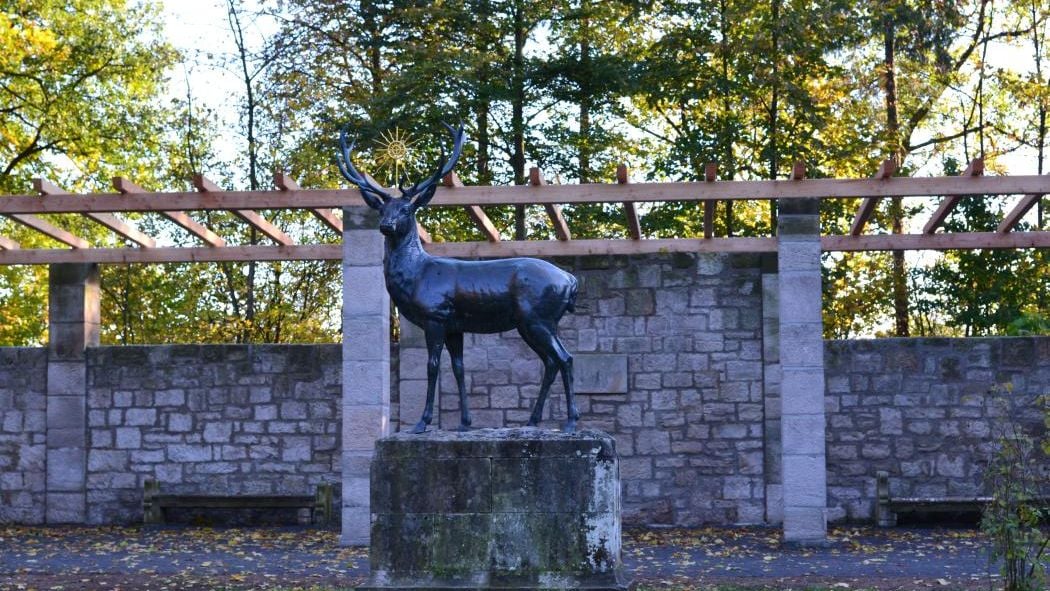 Fotoquelle: Heinz Zippelius