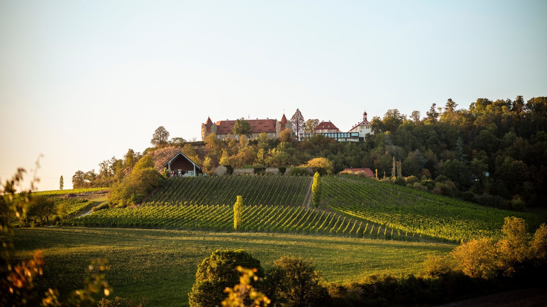 Fotoquelle: Mario Baier