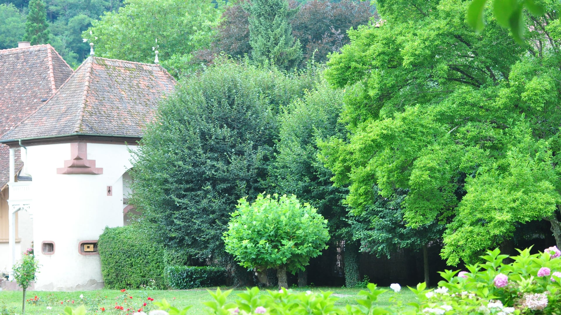 Fotoquelle: Ferdinand Saint André