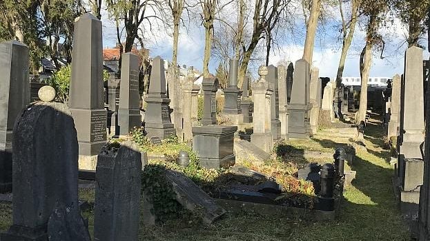 Fotoquelle: Iris Gedig