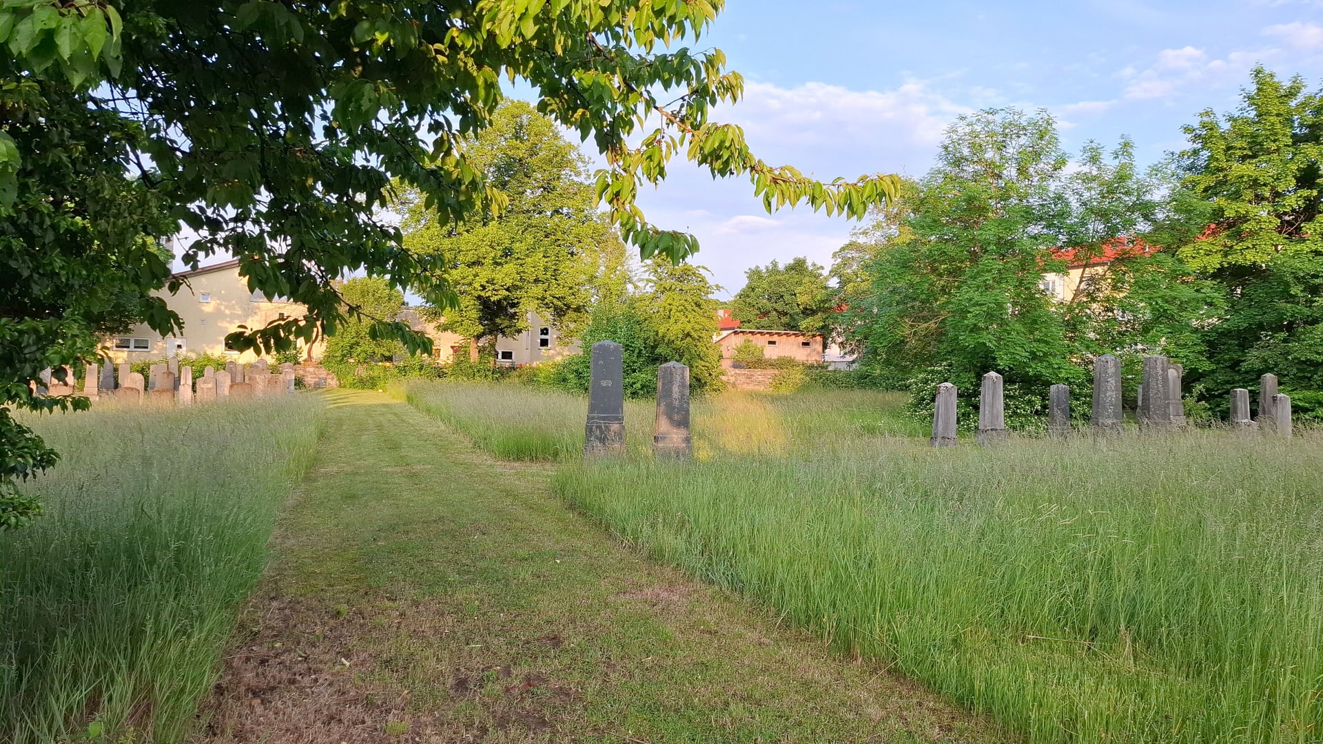 Fotoquelle: Alexander Biernoth
