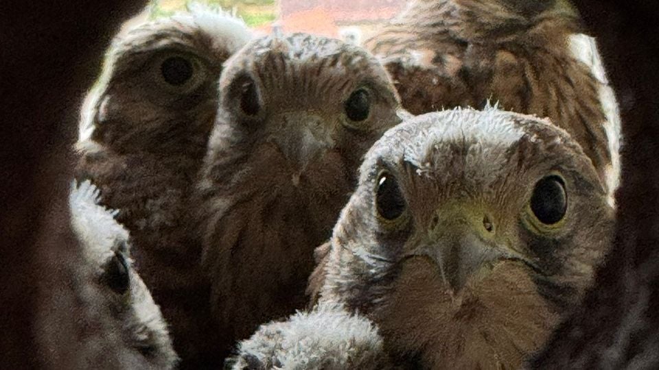 Fotoquelle: Annett Beutler