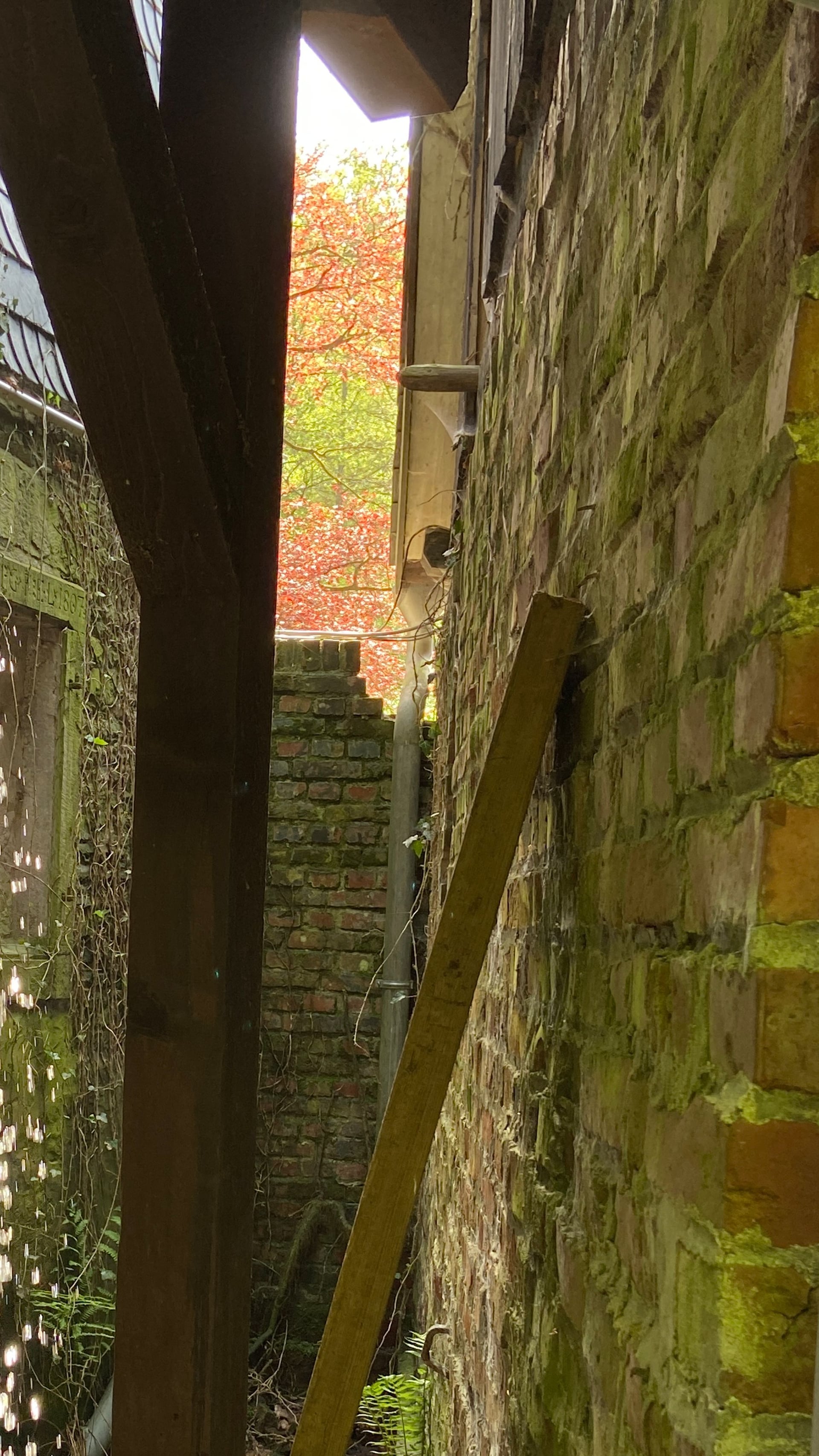 Fotoquelle: Beate Letzner