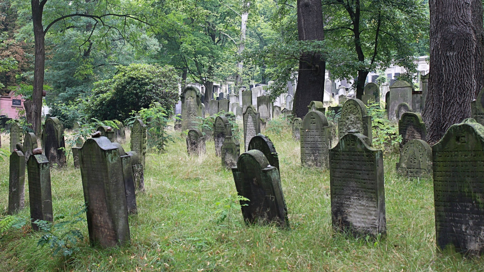 Fotoquelle: Anke Geißler-Grünberg