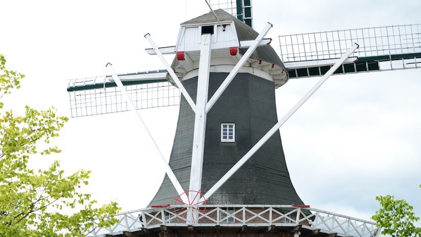 Fotoquelle: Albers Gerdes