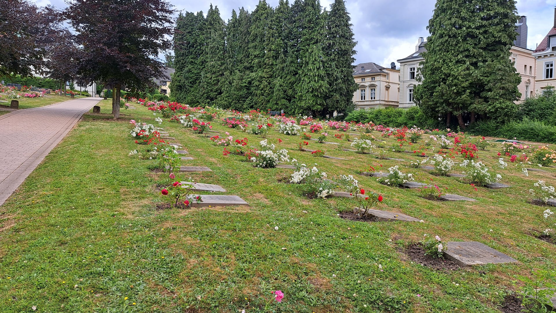 Fotoquelle: Gudrun Stengel