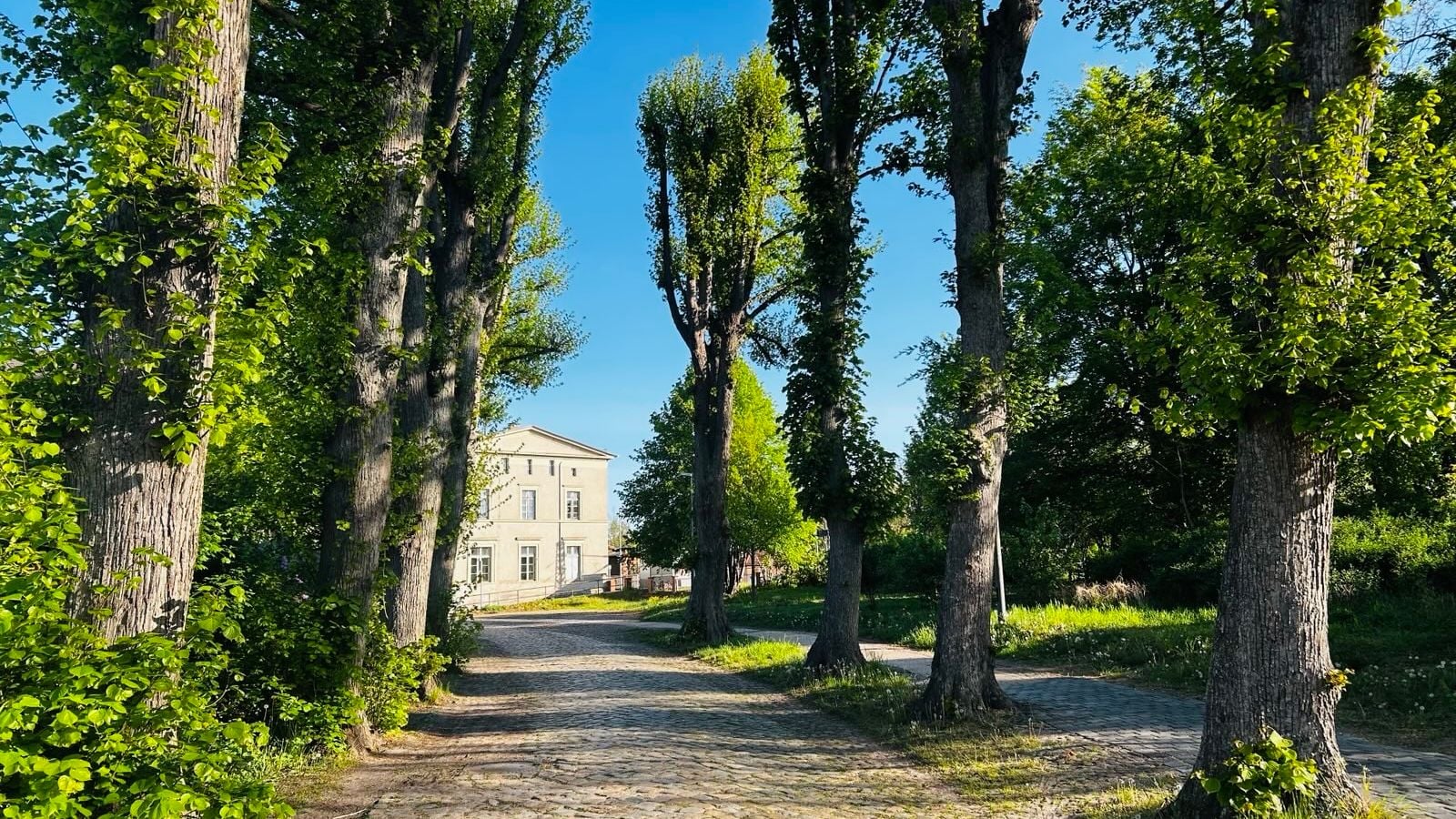 Fotoquelle: Rafael Wagner