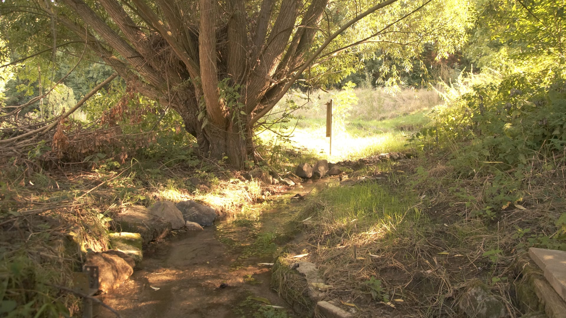 Fotoquelle: René Bretzlaff